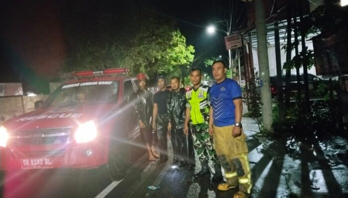 Sinergi TNI dan BPBD Tangani Pohon Tumbang