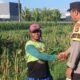 Bhabinkamtibmas Labuapi Kawal Optimalisasi Lahan Jagung di Lombok Barat