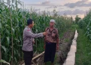 Cara Polsek Gerung Dorong Kedaulatan Pangan di Lemokek Lauk