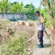Manfaat Budidaya Tanaman Palawija di Lahan Pekarangan