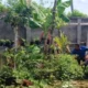 Bhabinkamtibmas Gerung Dukung Petani Gumesa Timur Lewat Bantuan Benih