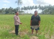 Polres Lombok Barat Dampingi Petani Banyu Urip Wujudkan Swasembada Pangan