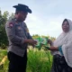 Cara Bhabinkamtibmas Lombok Barat Jaga Stok Pangan